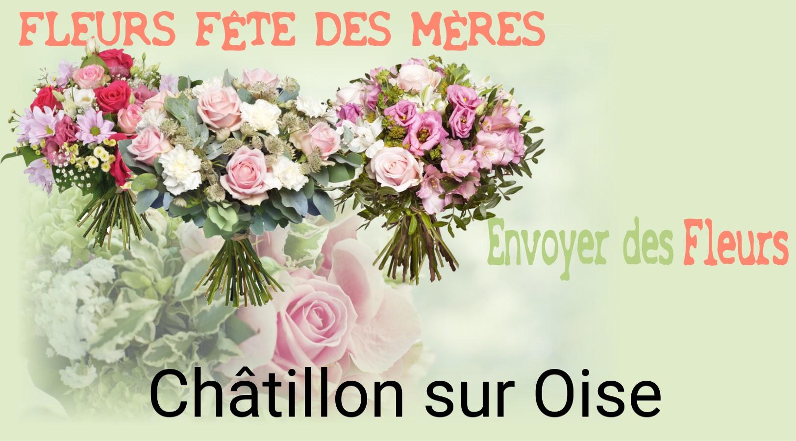 Bouquet de Fête des Mères livré à Châtillon-sur-Oise